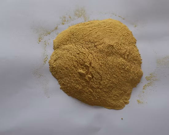 Großhandel Kürbiskernproteinpulver gefriergetrocknetes Gemüsefruchtpulver Kürbispulver