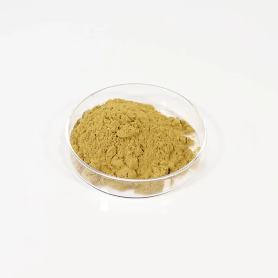 Pflanzenextrakt, Tierfutter, Polyphenole, Echinacea purpurea-Extrakt mit Polyphenolen, 4 % UV
