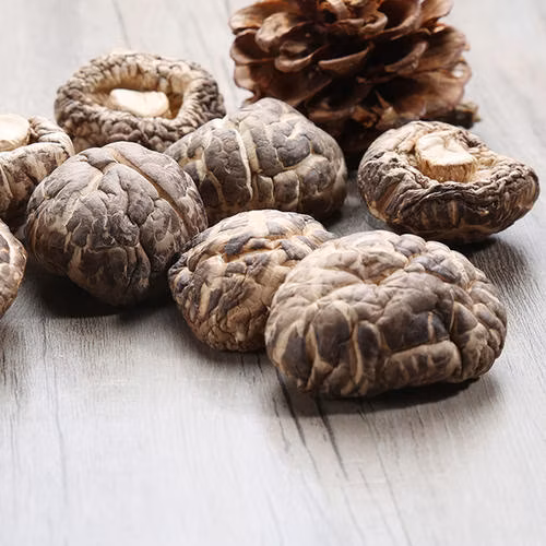 Bio-Ballaststoff-Nahrungsergänzungsmittel mit Reishi-Pilzen