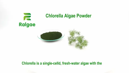Fabrik Heißer Verkauf Großhandel Massennahrungsergänzungsmittel Gesundheitslebensmittel Spirulina und Chlorella Nahrungsergänzungsmittel