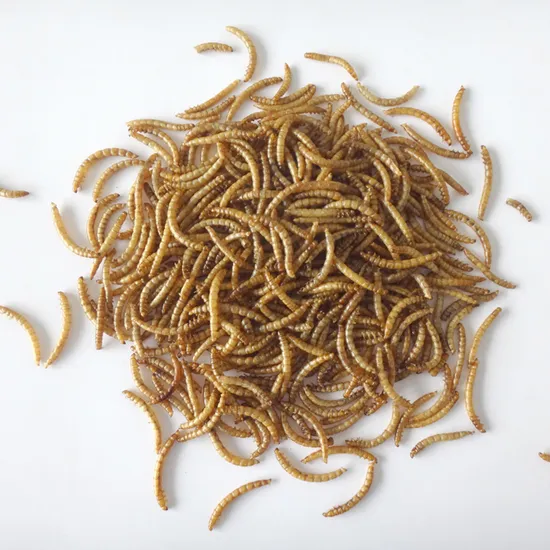 Haoxiang China Walnuss-Proteinfaser-Isolat-Konzentrat-Pulver-Hersteller liefert hochreines wasserlösliches Bio-Walnuss-Protein-Peptidmehl mit kleinen Molekülen